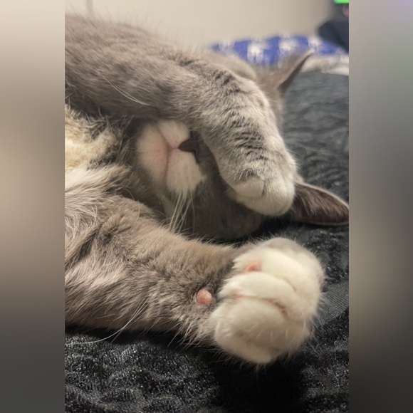 Meet your Posher, Leanne - Picture 12 of 13